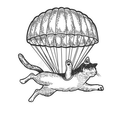 Parachute Illustration, Fly Drawing, Airplane Tattoos, Flying Cat, Hard Seltzer, Cat Animal, Drone Photos, Flash Art, White Hand