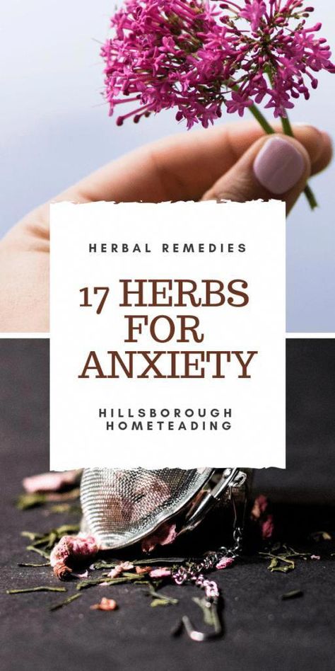 READ MORE: <a href="https://bit.ly/3Wa6IF5" rel="noreferrer nofollow">bit.ly/3Wa6IF5</a> Natural Healing Remedies, Natural Cold Remedies, Herbal Healing, Natural Cough Remedies, Herbs For Health, Cold Remedies, Natural Therapy, Natural Health Remedies, Healing Herbs