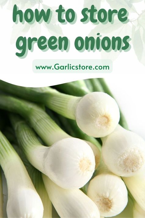 how-to-store-green-onions Storing Green Onions In Fridge, How To Store Green Onions In Fridge, How To Store Green Onions, Green Onion Storage, Store Green Onions, Store Onions, Storing Onions, Onion Storage, Storing Vegetables