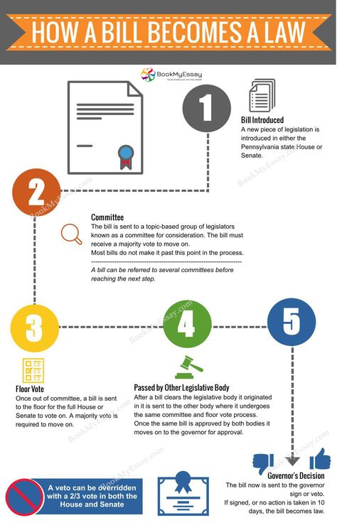 "How a Bill Becomes A Law" On this topics' students can get more information via this infographic. BookMyEssay is giving law assignment help service as well as at lowest cost. Law Assignment, Assignment Writing Service, Assignment Help, Writing Services, How To Become, Matter, Australia, Writing