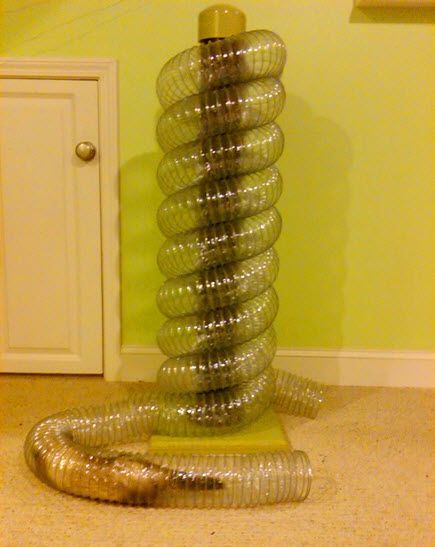 DIY Ferret Tunnel Tower - PetDIYs.com Ferret Furniture, Ferret Diy, Rattus Rattus, Ferret Toys, Ferrets Care, Ferret Cage, Funny Ferrets, Rat Toys, Rat Cage