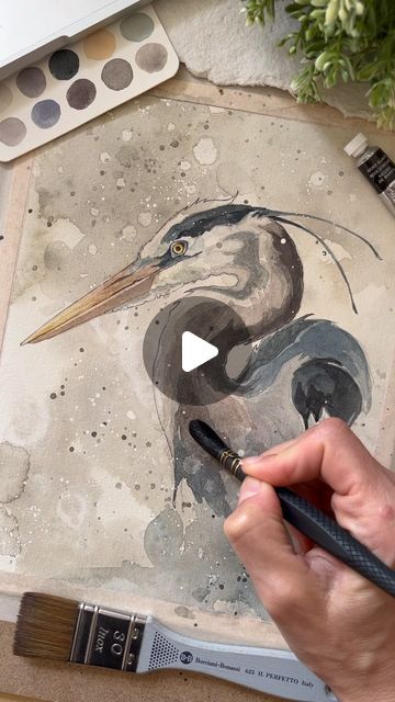 6,337 likes, 70 comments - irenemeniconi on May 21, 2024: "Working with watercolor on my latest heron portrait! I’ve really enjoyed experimenting with this new type of background on the heron pieces... What do you think? Do you like this new type of background or do you prefer the white one? • 🇮🇹 Lavoro ad acquerello sul mio ultimo airone! Mi sono divertita molto a sperimentare questa nuova tipologia di sfondo sulle opere degli aironi… Voi che ne pensate? Vi piace questo nuovo tipo di Heron Art, Animal Watercolor, Bird Artwork, Watercolor Art Lessons, Bird Drawings, Creative Drawing, Watercolor Bird, Watercolor Animals, Watercolor Artist