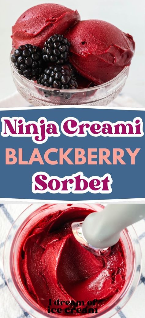 It's super simple to make Ninja Creami blackberry sorbet! The result is sweet and delicious and full of flavor! Blackberry Sorbet Ninja Creami, Blueberry Sorbet Ninja Creami, Ninja Creami Blackberry Ice Cream, Ninja Creami Sorbet Recipes Healthy, Ninja Creami Blackberry Ice Cream Recipes, Ninja Creami Lime Sherbert, Blackberry Ninja Creami, Ninja Creami Breakfast, Raspberry Sorbet Ninja Creami