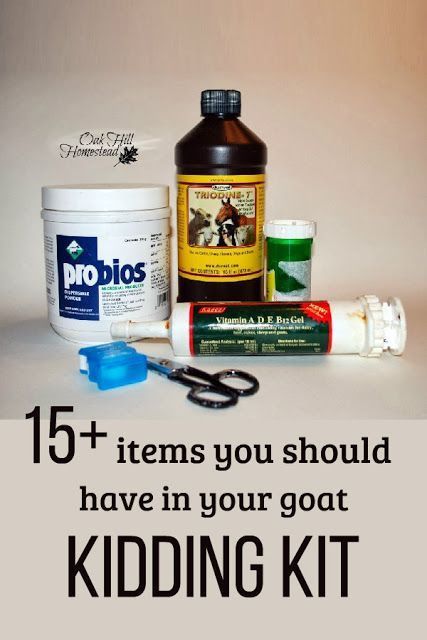 Goat Kidding Kit, Keeping Goats, Pygmy Goats, Farm Hacks, Goat House, Goat Care, Raising Rabbits, Boer Goats, Goat Kidding