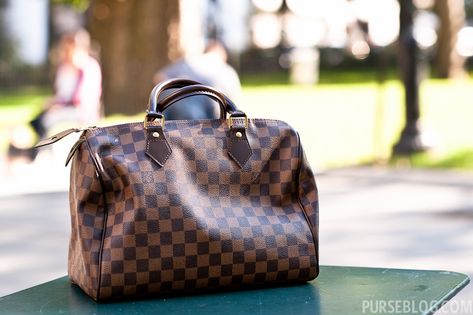 Louis Vuitton Handbags Speedy, Lv Damier Ebene, Lv Damier, Diy Travel Bag, Lv Purse, Louis Vuitton Speedy 30, Speedy 30, Lv Handbags, Handbag Outlet