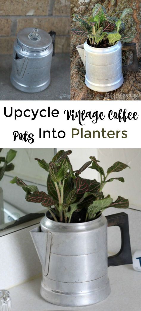 See how to turn vintage coffee pots into planters with this easy upcycling project! Celebrate Earth Day and see how fun it is to upcycle! #LuminousWhites AD #CollectiveBias @walmart @tomsofmaine Coffee Pot Planter Ideas, Upcycle Vintage, Upcycle Diy, Garden Planters Pots, Eco Lifestyle, Vintage Coffee Pot, Garden Idea, Single Serve Coffee Makers, Outdoor Crafts