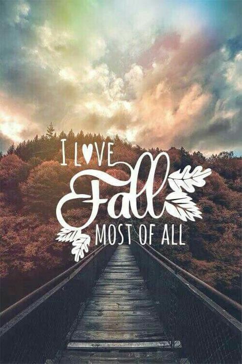 I love Fall most of all                                                       … I Love Fall, Autumn Night, Autumn Quotes, Fall Time, Love Fall, Fall Is Here, Happy Fall Y'all, Favorite Season, Hello Fall