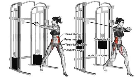 Cable Twist Wood Chop Exercise, Tensor Fasciae Latae, Wood Chop, Cable Workout, Best Chest Workout, Body Toning, Gluteus Medius, Compound Exercises, Smith Machine