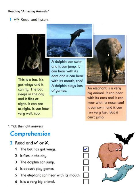 Reading - Amazing Animals (can-can't) - Ficha interactiva Animal Reading, Animals Reading, Can Can’t Worksheet, Animals Worksheets For Kids, Animals Worksheet, English Reading Skills, Diurnal Animals, Amazing Animals, English Teaching Materials