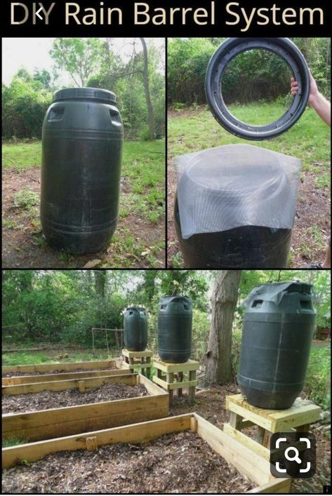 Plants Without Soil, Diy Rain Barrel, Rain Barrel System, Water Collection System, Gardener Aesthetic, Water Harvesting, Garden Watering System, Water Barrel, Vegetable Garden Raised Beds