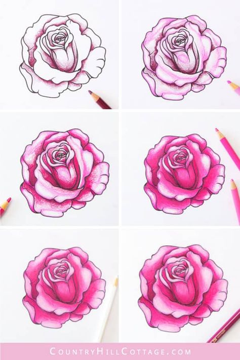 Coloring Roses With Colored Pencils, Rose Colored Pencil Drawing, How To Shade Flowers Drawing, Rose Drawing Colored Pencil, Colored Pencil Techniques Step By Step, Colouring Flowers With Pencils, How To Color Flowers, Rose Coloring Pages Free Printable, How To Draw Plaid