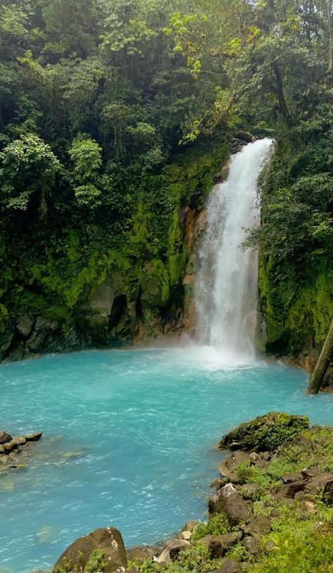 Costa Rica Life, Costa Rica Wallpaper, Rice Wallpaper, Rio Celeste Costa Rica, Costa Rica Nature, Spanish Projects, National Photography, Earth Lover, Landscape Photographers