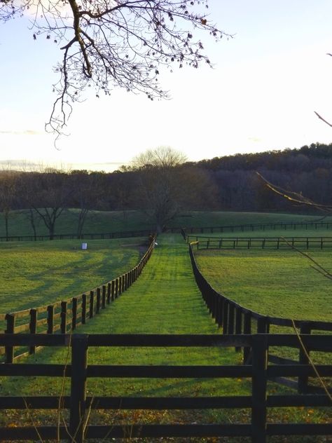 I always see paddocks with these, and i wonder what they're for.  I would turn them into exercise tracks, I think Equestrian Barns, Horse Paddock, Stud Farm, Dream Stables, Horse Fencing, Farm Business, Dream Yard, Equestrian Facilities, Dream Barn