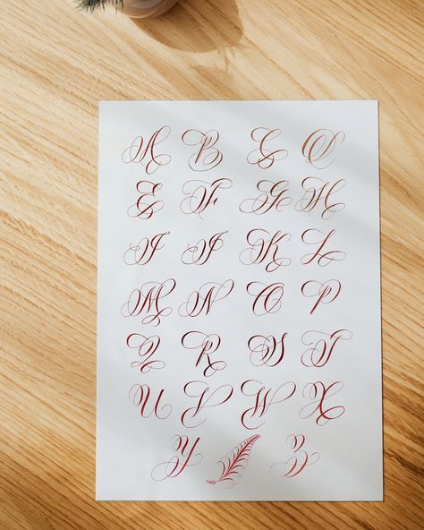 Copperplate flourished alphabet Flourishing Calligraphy Alphabet, Calligraphy Writing Styles, Tattoo Lettering Alphabet, Calligraphy Letters Alphabet, Flourish Calligraphy, Calligraphy Fonts Alphabet, Lettering Styles Alphabet, Calligraphy Lessons, Copperplate Calligraphy