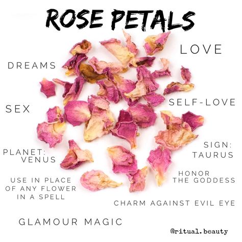 Magical Properties of Rose Petals Rose Petal Properties, Witchy Things To Do With Rose Petals, How To Use Rose Petals In Witchcraft, Rose Spell Jar, Rose Uses Witchcraft, Rose Properties Magic, Roses Magical Properties, Flowers Magical Properties, Rose Petal Witchcraft