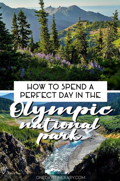 Hiking Itinerary, Pnw Trip, Washington Trip, Couples Getaway, Olympic National Park Washington, National Parks America, Pacific Northwest Travel, Washington State Travel, Washington Travel