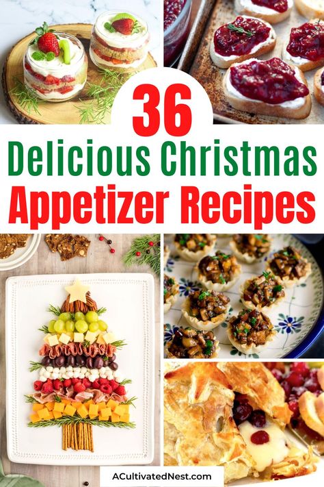 Festive Christmas Appetizers, Christmas Appetizer Ideas, Christmas Appetizer Recipes, Make Ahead Christmas Appetizers, Best Christmas Appetizers, Christmas Appetizers Easy, Ready Set Eat, Christmas Appetizer, Appetizers For Kids