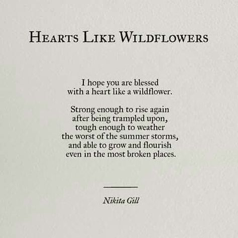 heart like wildflowers poem nikita Gill Flower Thoughts, Wild Flower Quotes, Nikita Gill, Short Poems, Girl Flower, Tattoo Girl, Flower Quotes, Poem Quotes, A Poem