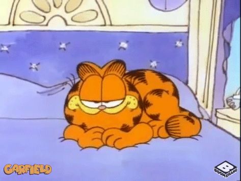 New trending GIF on Giphy Garfield Laying Down, Silly Garfield, Fat Orange Cat, Garfield Pictures, Garfield Images, Before Bed Workout, Garfield The Cat, Garfield Cartoon, Garfield Cat