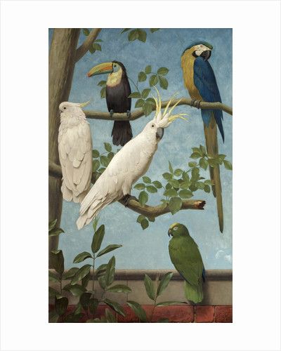 Gallery Museum, Parrots Art, Scientific Illustration, Oil Painting Reproductions, Art Uk, A4 Poster, Exotic Birds, Birdwatching, Painting Reproductions