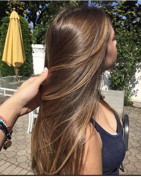 Long Brunette Hair With Layers Balayage, Natural Honey Brown Hair, Light Brown Hair With Honey Highlights, Chestnut Hair Color With Highlights, Brown Hair With Honey Highlights, Chestnut Brown Hair With Highlights, Haircut Ideas Brown Hair, Color Wow Dream Coat, Wow Dream Coat