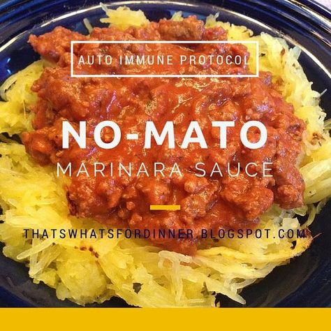 No Mato Sauce, Tomato Free Sauce, Lectin Free Recipes Dinner, No Mato Sauce Recipe, Acid Free Recipes, Aip Salsa, Failsafe Recipes, Aip Sauces, Plant Paradox Diet