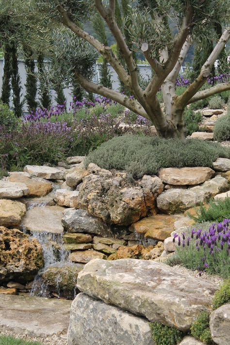 Olive grove garden. This place must be a dream. Terraced Mediterranean Garden, Meditterean Garden, Mediterranean Flowers, Olive Trees Landscape, Olive Trees Garden, Mediterranean Garden Design, Mediterranean Landscaping, Olive Grove, Landscape Construction