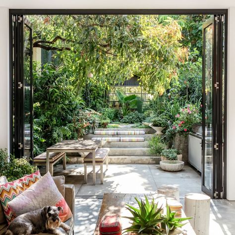 GARDEN · Florist Sean Cook (aka @mrcooktheflorist)'s monotonal garden by landscape designer Richard Unsworth (@gardenlife_syd) is an oasis… Sydney Gardens, Lots Of Plants, Australian Garden, Patio Interior, Patio And Garden, City Garden, Courtyard Garden, Terrace Garden, The Design Files