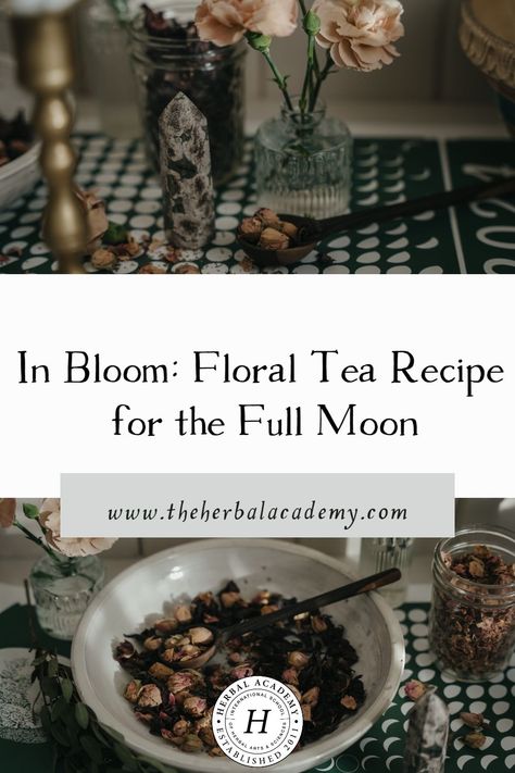 In Bloom: Floral Tea Recipe for the Full Moon | Herbal Academy | Sipping a cup of this Full Moon Floral Tea can help bring about a sense of calm and lightness in the heart. Full Moon Tea, Medicinal Teas, Moon Tea, Herbal Academy, Medicinal Tea, Harvesting Herbs, Tea Diy, Herbal Recipes, Wild Edibles