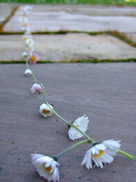 Daisy Chains, 1970s Childhood, Childhood Memories 70s, Good Old Times, Childhood Days, Those Were The Days, 90s Childhood, Daisy Chain, Childhood Toys