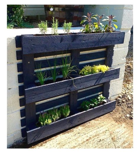 Vertical Herb Gardens, Wood Pallet Planters, Herb Garden Pallet, Pallet Projects Garden, Herb Garden Design, Vertical Herb Garden, Wooden Planter, Pallet Planter, Vertical Gardens