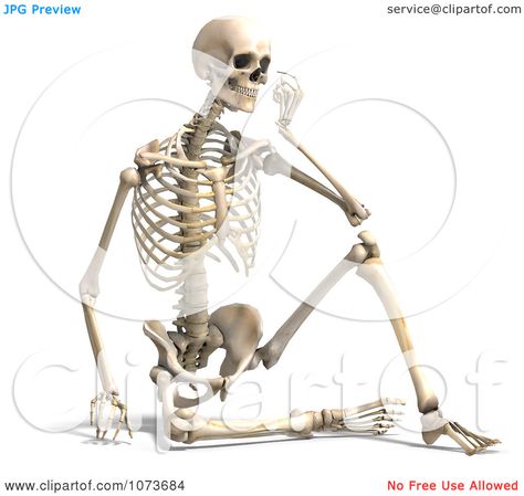 Maya Tattoo, Posture Drawing, Drawing Sitting, Skeleton Sitting, Male Skeleton, Skeleton Drawing, Ep Cover, Skeleton Body, Skull Reference