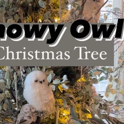 🌸 Mary Ann ~ Seasonal Home & Garden Tips. on Instagram: "Have you ever seen a white Snowy Owl Christmas Tree? ⤵️ . 🦉 If you love nature, birds and the beauty of winter. This Christmas tree has a bit of all those things and perfect for you! . 🦉 Decorating ideas to create this Christmas Snowy Owl Tree: . 1️⃣ Statement piece: . 🌲 Branches from the woods. The perfect spot for the owls to perch and peek out of. . 🌲 These branches where from a tree that died in your yard. I didn’t want them to go to waste. It’s the perfect centerpiece for this tree. . 2️⃣ Create a topper: . 🦉 Using more branches from the outdoors. . 🦉 You can also add artificial flocked branches. . 3️⃣ Christmas Decorative stems and florals: . 🌲 Add iced/glittered artificial evergreen stems throughout the tree for fullne Owl Theme Christmas Tree, Christmas Tree Birds Theme, Owl Tree Topper Christmas, Owl Christmas Tree Ideas, Owl Christmas Tree Topper, Owl Tree Topper, Christmas Owls Decorations, Owl Christmas Tree, Beauty Of Winter