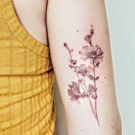 Artist: Jack Poohvis (@jackpoohvis) Chicory Flower Tattoo, Chicory Tattoo, Chicory Flower, Art Words, Flowers Vintage, Fine Line, Arm Tattoo, Flower Tattoo, Tatting