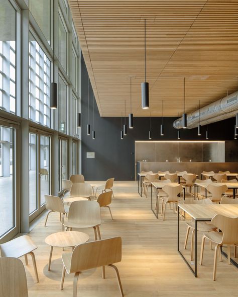 Classroom Architecture, Canteen Design, Public Library Design, Cafeteria Design, Community Halls, School Interior, School Cafeteria, Office Lunch, Lunch Room