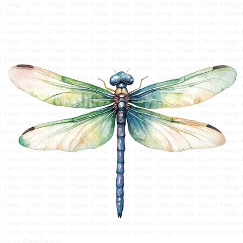 Dragonfly Clipart | 5 High Quality JPGs | Digital Download | Insect Art | Watercolor Dragonfly | Printable Artwork | Junk Journals | Clipart 🌟 Special Offer! 🌟 Elevate your creative projects with this exclusive clipart bundle, featuring 5 stunning images at an incredible price! Perfect for nursery wall art, junk journals, greeting cards, invitations, prints, scrapbooks, collages, mixed media, paper crafts, mugs, apparel, and social media posts. 🖼️ Each image is a unique masterpiece, available Dragon Fly Paintings, Dragonfly Drawing Art, Simple Dragonfly Drawing, Dragonflies Artwork, Dragonfly Outline, Dragonfly Printable, Simple Dragonfly, Dragonfly Watercolor, Dragonfly Clipart