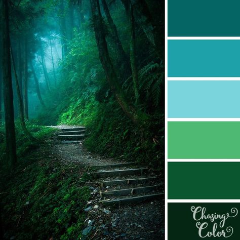 Stairs leading into a beautiful mystical forest – Color palette by chasing.color on Instagram #colors #colorpalette #green #forestgreen #babyblue #lightblue #mint #teal #aqua #nature #forest #stairs Forest Walkway, Pallet Tree Houses, Beauty Fotografie, House Color Palettes, Theme Nature, Palette Design, Forest Color, Green Palette, Nature Color Palette