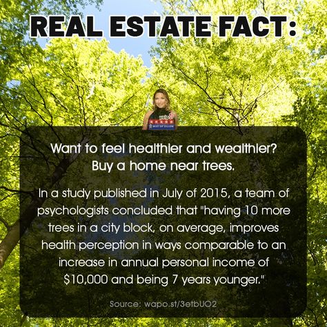 Realtor Ads, Real Estate Humor Memes Funny, Real Estate Fun, Health Living, Fun Fact Friday, Real Estate Memes, City Block, Real Estate Appraisal Meme, Real Estate Leads