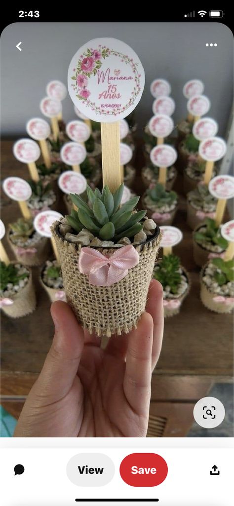 Theme Bapteme, Boy Baby Shower Ideas, Idee Cricut, Baby Shawer, Wedding Gifts For Guests, Plant Gifts, Minecraft Houses, Wedding Favours, Shower Decorations