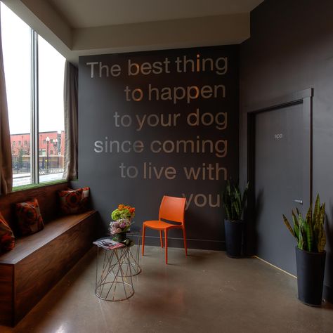 Cool facility lobby with quote on wall Quote On Wall, Dog Boarding Ideas, Indoor Dog Park, Luxury Dog Kennels, Dog Boarding Facility, Dog Boarding Kennels, Boarding Facility, Dog Kennel Designs, Dog Grooming Shop