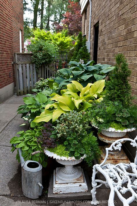 Garden Pot Ideas, Container Herb Garden, Side Yard Landscaping, Garden Site, Pot Ideas, New Garden, Container Gardening Vegetables, Garden Containers, Container Garden