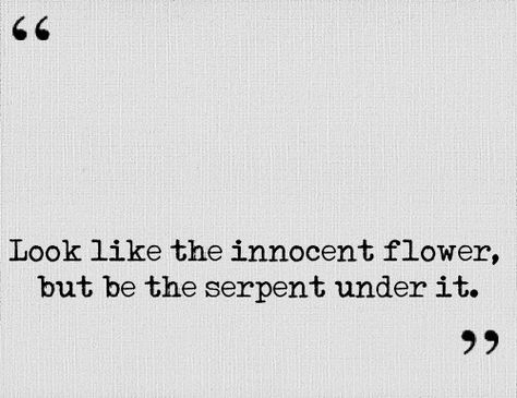 Look like the innocent flower, but be the serpent under it. Look Like The Innocent Flower, Serpent Quotes, Macbeth Quotes, William Shakespeare Quotes, Lady Macbeth, Shakespeare Quotes, Cs Lewis, William Shakespeare, Writing Inspiration