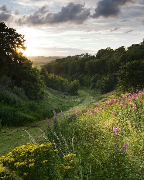 @Ashley Harp Feels real, lovely, & like a walk I'd rather be taking. / Yorkshire, England/ 6.8.2014 Rosy Lips, Garden Cottage, English Countryside, Alam Yang Indah, Nature Aesthetic, Pretty Places, The Clouds, Beautiful World, Beautiful Landscapes