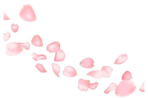 Rose Falling, Karate Tattoos, Falling Petals, Pink Sakura, Rose Images, Flower Sketches, Rose Petals, Or Rose, Transparent Background