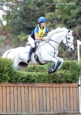 Jumping Horses, Cross Country Jumps, Dream Horse Barns, Horse And Human, Eventing Horses, Insta Profile, Medical Design, Horse Jumping, Horse Barn