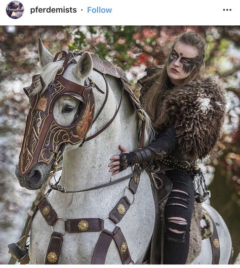 Fantasy Horse Armor, Fantasy Horse Tack, Dragon Costume For Horse, Horse With Armor, Lusitano Stallion, Medieval Horse Armor, Viking Warrior Woman, Horse Halloween Costumes, Medieval Horse