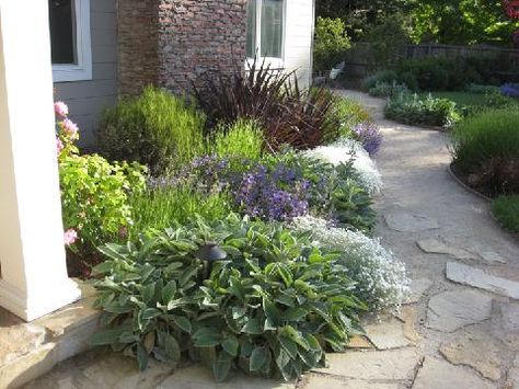 A combination of flagstone and decomposed granite create the pathways along side colorful planting beds in this No. CA Mediterranean garden. Drought Tolerant Landscape Design, Wildlife Garden Design, Drought Resistant Landscaping, Low Water Plants, Drought Tolerant Garden, Drought Tolerant Landscape, Wildlife Garden, Mediterranean Landscaping, California Garden