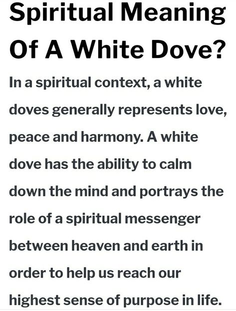 White Dove Spiritual Meaning, Dove Spiritual Meaning, Lightworker Spirituality, I Am Whole, Divinely Guided, Animal Spirit Guides, Power Animal, Animal Spirit, White Dove