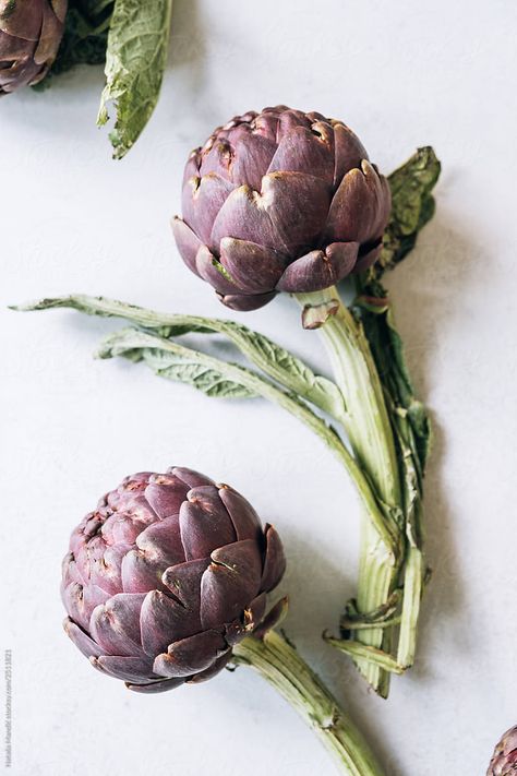 Unique Vegetables, Nature's Bounty, White Plate, Cabbage Roses, Photo Nature, White Plates, Color Inspo, Watercolor Inspiration, Organic Matter