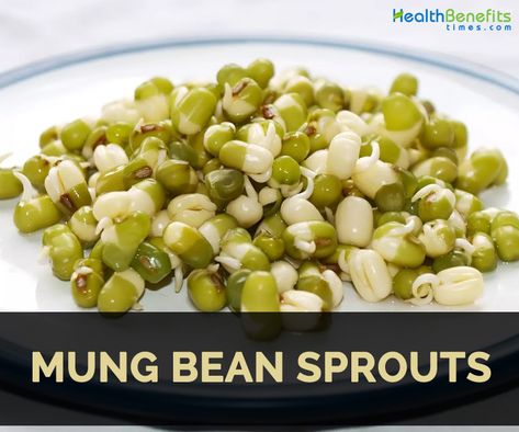 Bean Sprouts Benefits, Sprouts Benefits, Beans Benefits, Sprouted Grains, Rich Food, Red Quinoa, Vegan Nutrition, Mung Bean, Bean Sprouts